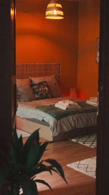 Apartment Sahara With Shared Bathroom In Centre Pressburg